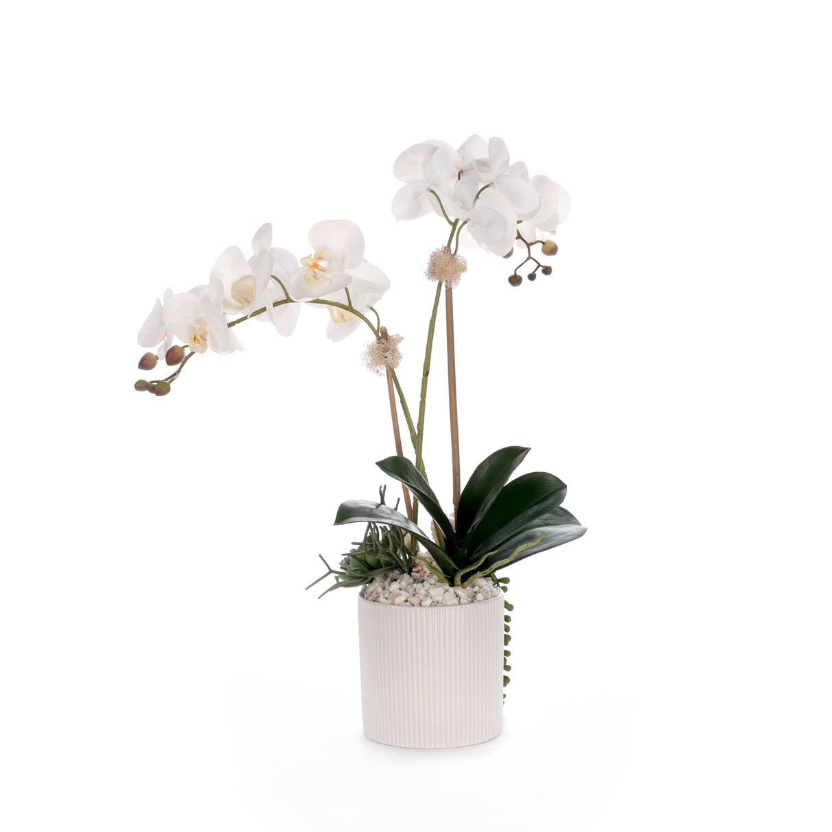 Real Touch White Orchid Flower Arrangement in White Pot #F-248