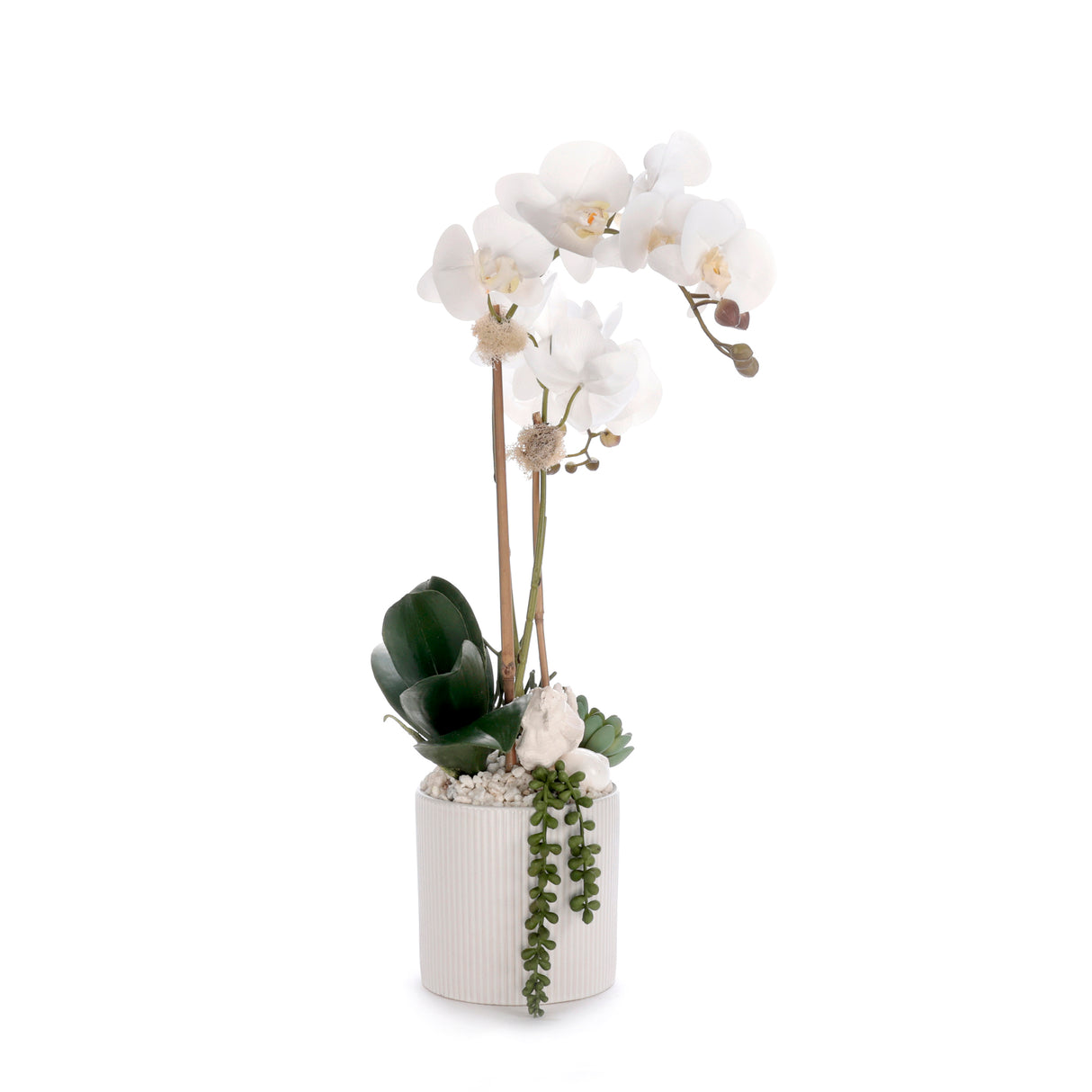 Real Touch White Orchid Flower Arrangement in White Pot #F-248