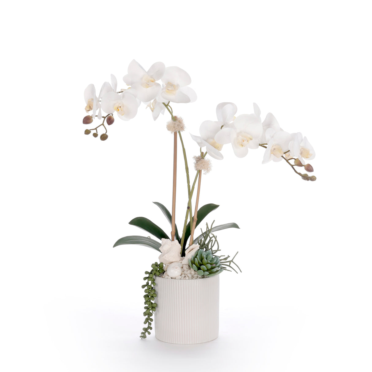 Real Touch White Orchid Flower Arrangement in White Pot #F-248