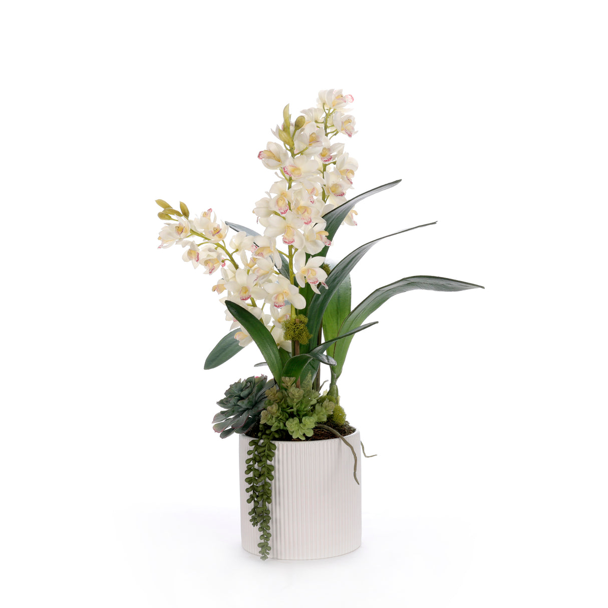 Real Touch White Cymbidium Orchid Arrangement in White Pot #F-249