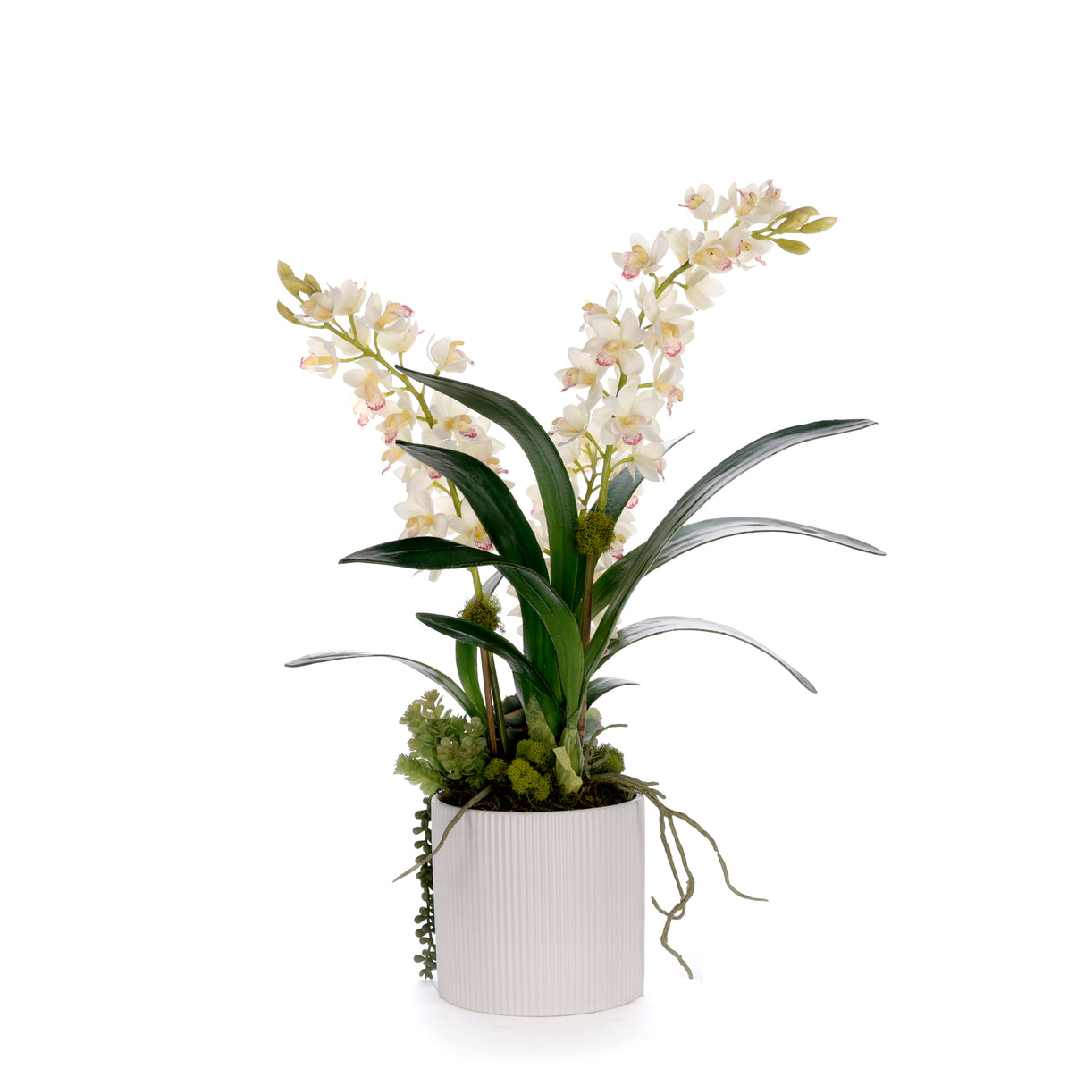 Real Touch White Cymbidium Orchid Arrangement in White Pot #F-249