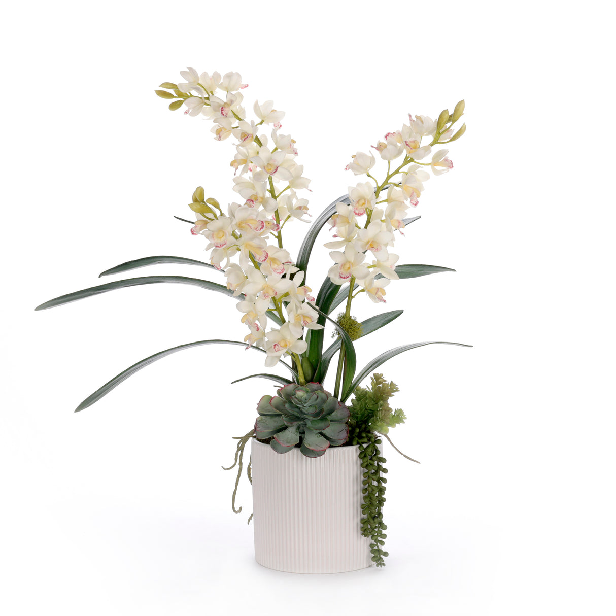 Real Touch White Cymbidium Orchid Arrangement in White Pot #F-249