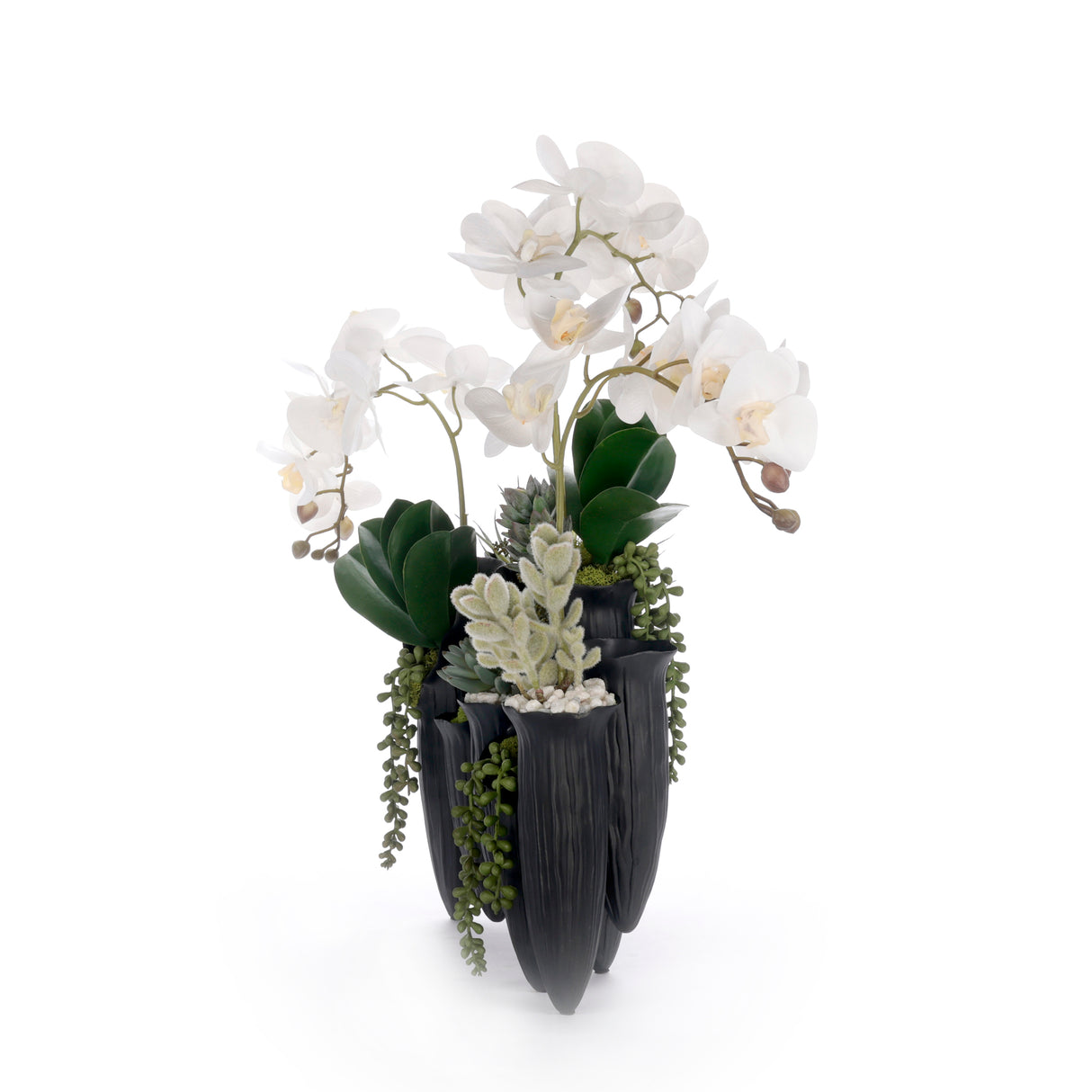 Real Touch White Orchid Succulent Floral in Black Pot #F-250