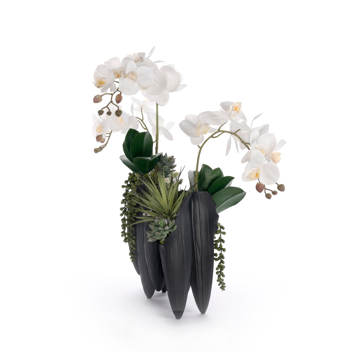 Real Touch White Orchid Succulent Floral in Black Pot #F-250