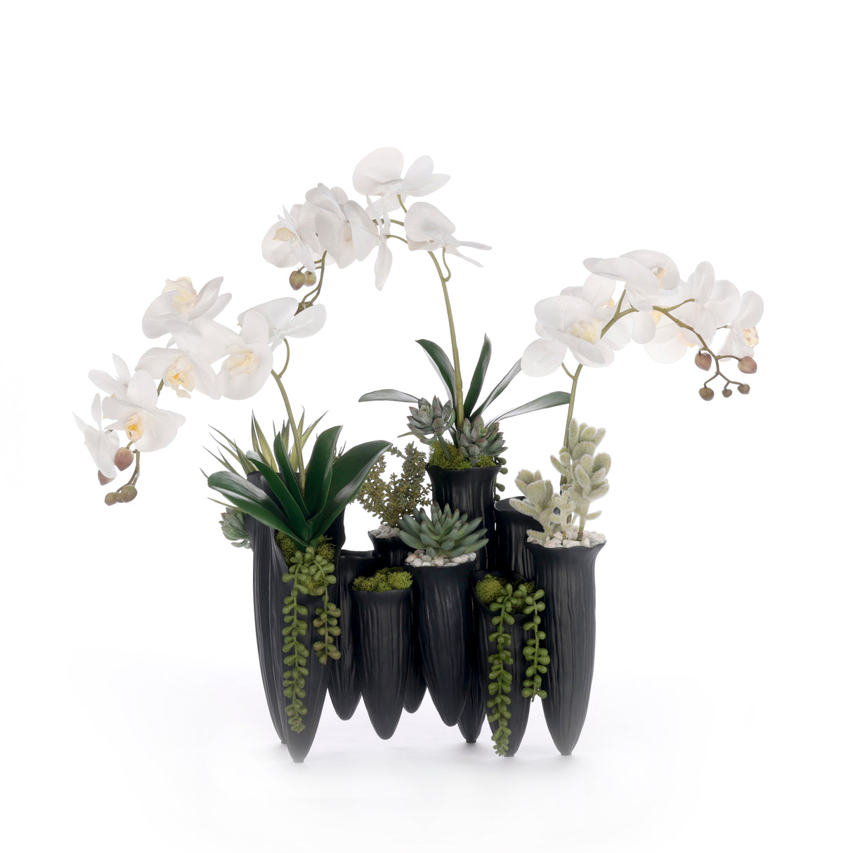 Real Touch White Orchid Succulent Floral in Black Pot #F-250