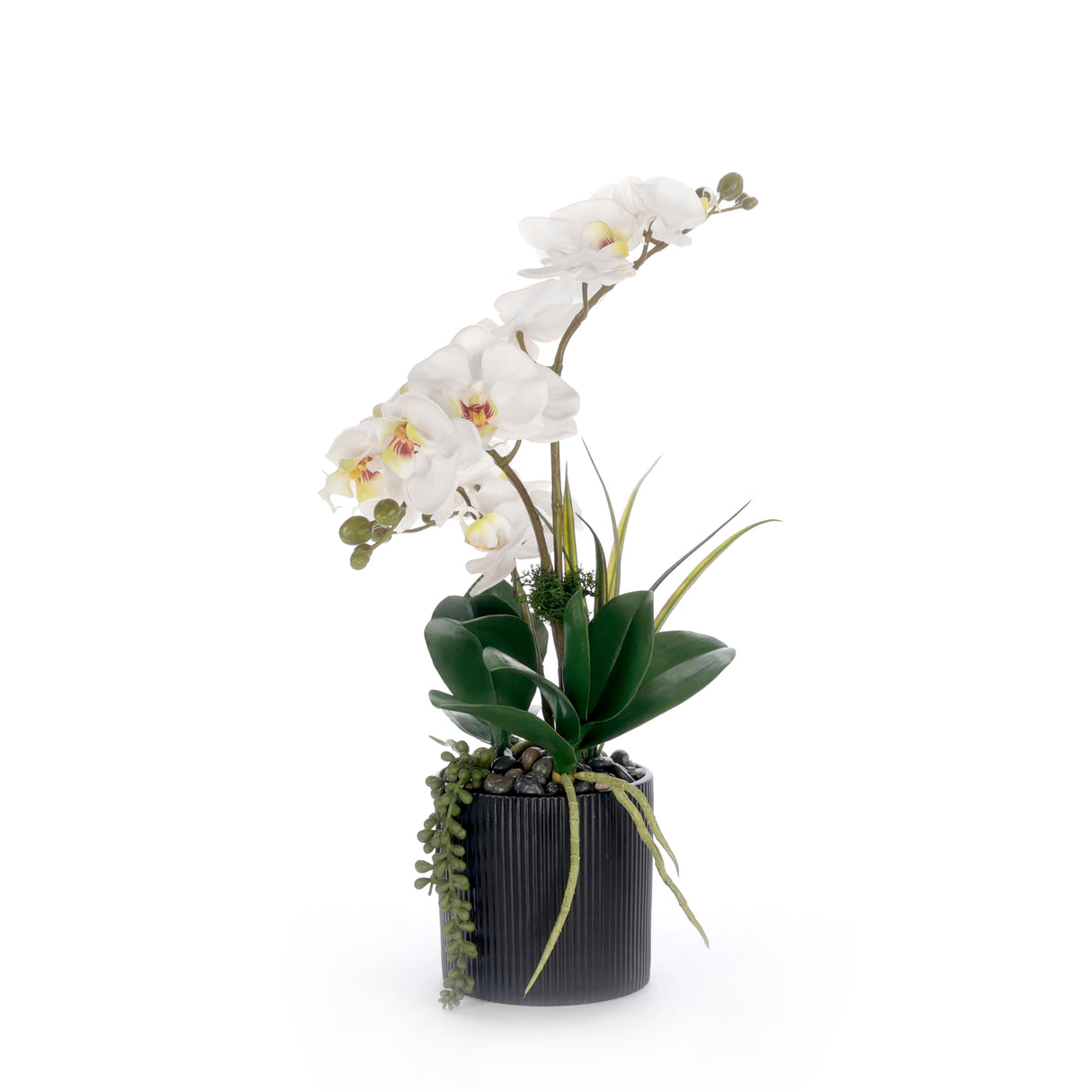 Real Touch White Orchid Flower Arrangement in Black Pot #F-251