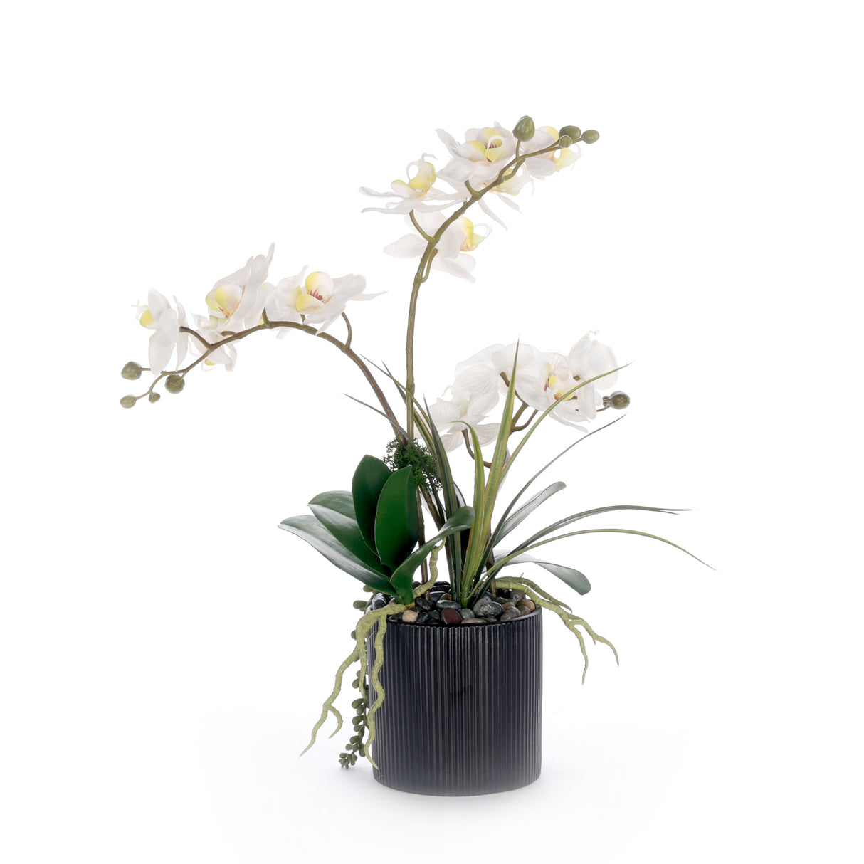 Real Touch White Orchid Flower Arrangement in Black Pot #F-251