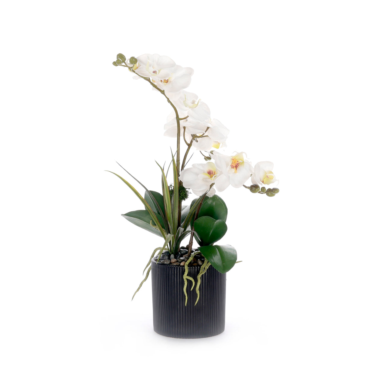 Real Touch White Orchid Flower Arrangement in Black Pot #F-251