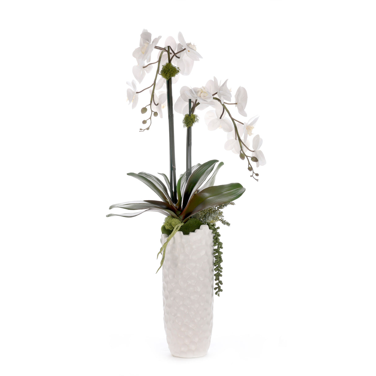 Real Touch White Orchid Flower Arrangement in White Vase #F-253