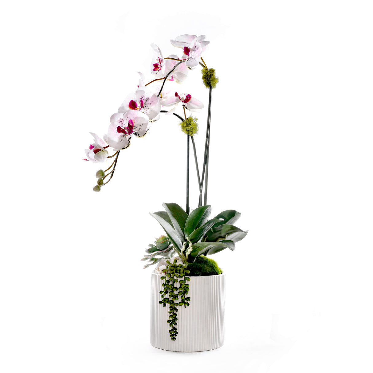Faux Orchid Flowers w/Geodes, Succulent in White Ceramic Pot #F-256