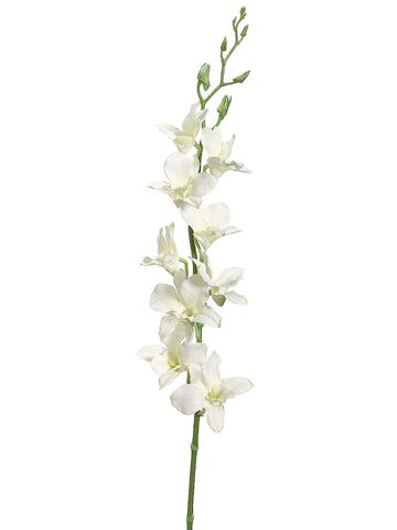 35.5" Dendrobium Orchid Spray Cream (2 Stems Per Box) #FSO008-CR