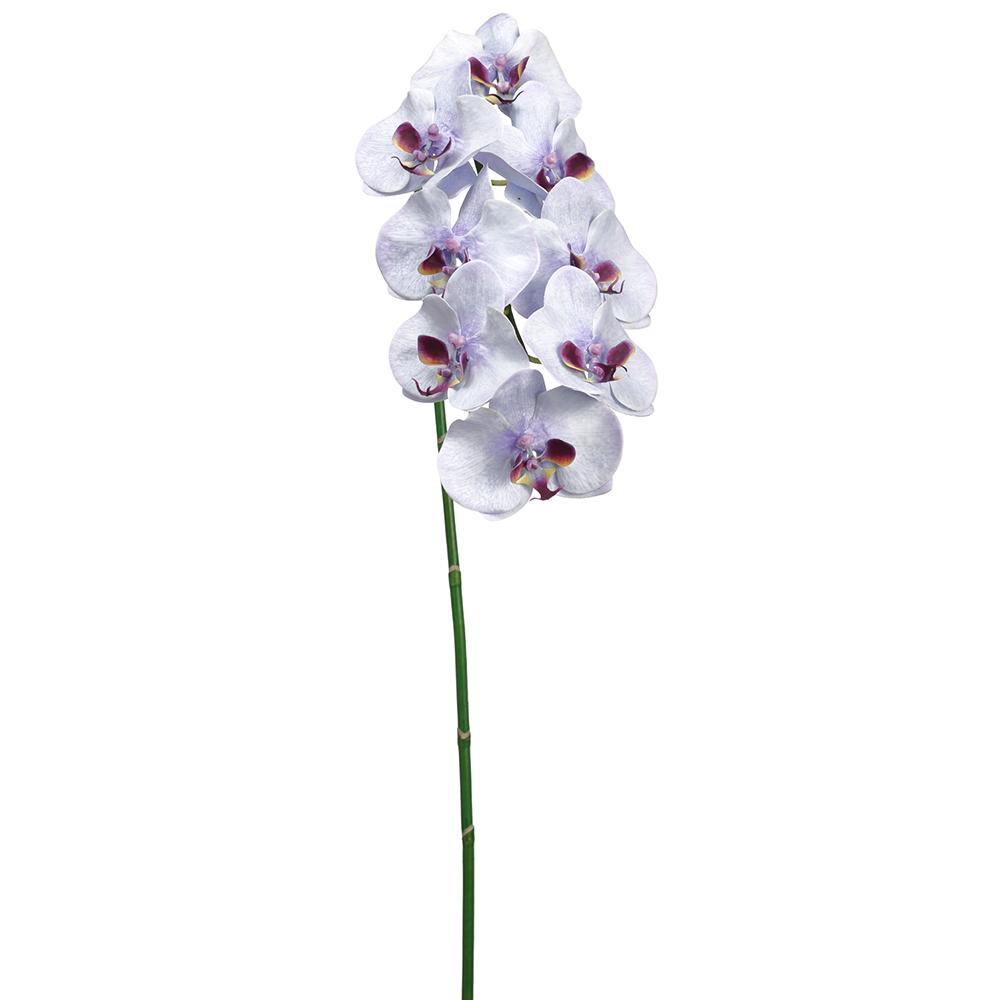 40" Phalaenopsis Orchid Spray With 8 Flowers White Purple (2 Stems Per Box) #HSO007-WH/PU