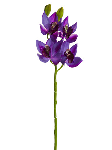 19" Cymbidium Orchid Spray Purple (2 Stems Per Box) #HSO047-PU