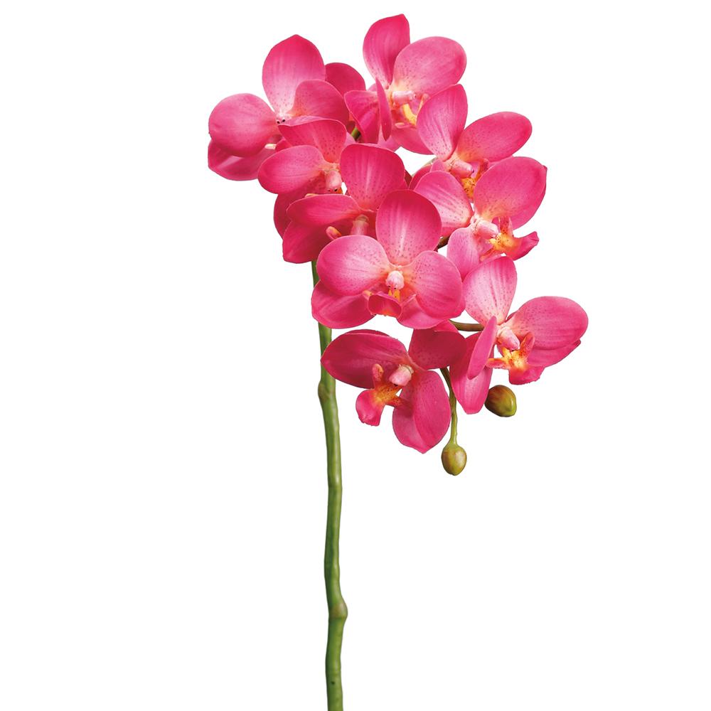 18.5" Small Phalaenopsis Orchid Spray Cerise Two Tone (2 Stems Per Box) #HSO159-CE/TT
