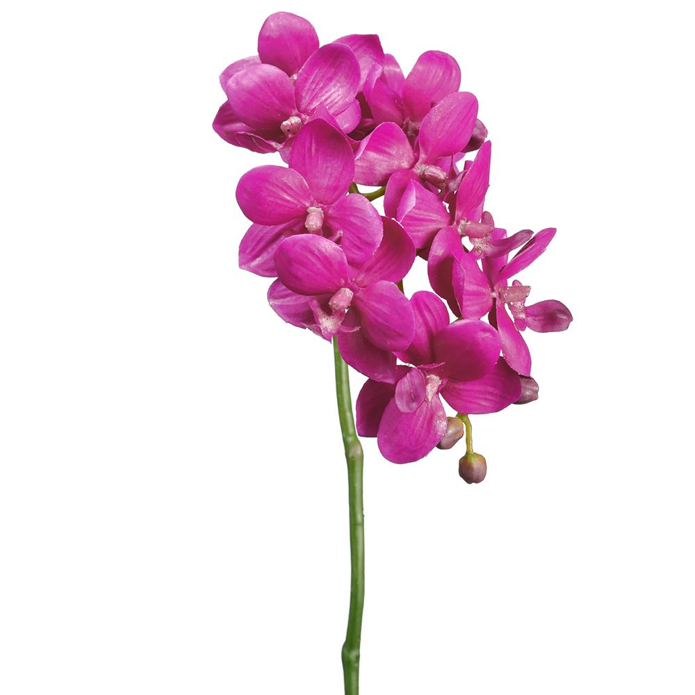 18.5" Small Phalaenopsis Orchid Spray Violet (2 Stems Per Box) #HSO159-VI