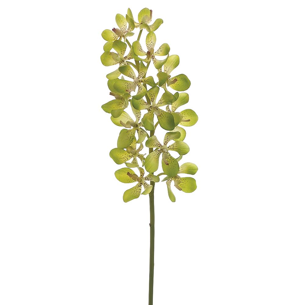 27" Mini Vanda Orchid Spray Green (2 Stems Per Box) #HSO219-GR