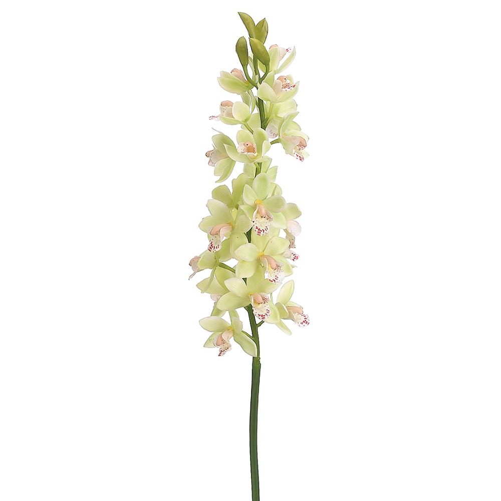 31" Cymbidium Orchid Spray Green (2 Stems Per Box) #HSO302-GR