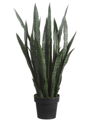 35" Plastic Green Sansevieria in Plastic Pot Green (2 Pcs Per Box) #LPE170-GR