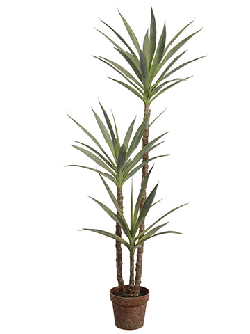 59" Yucca Tree in Plastic Nursery Pot Green #LPY461-GR