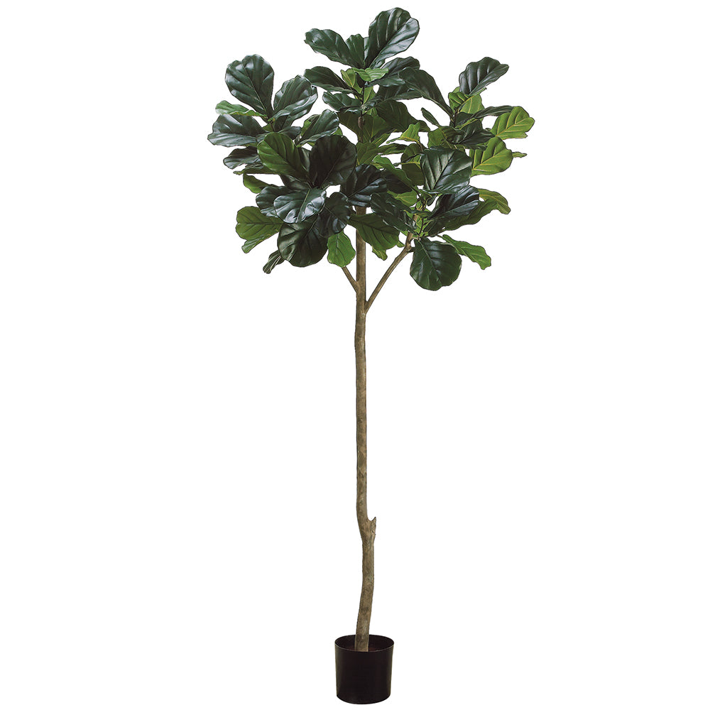 7' Fiddle Leaf Plant with 96 Leaves Green #LTF156-GR