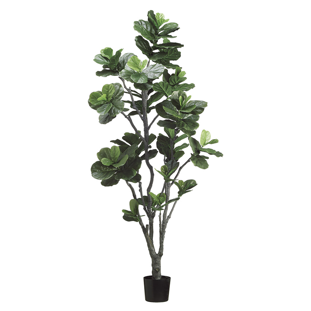 7' Fiddle Leaf Tree with PU Trunk and 152 Leaves in Plastic Pot Green #LTF707-GR