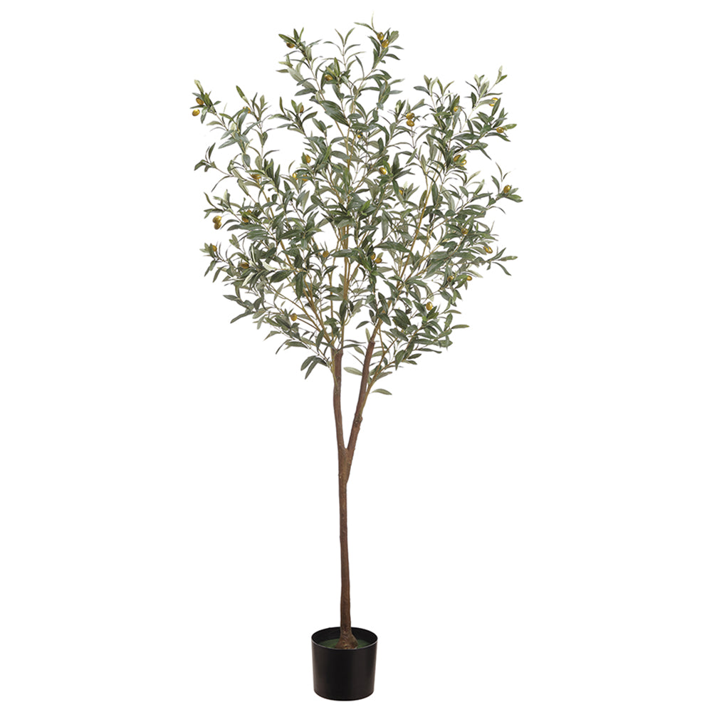 6' Olive Tree in Pot Green Gray #LTO016-GR/GY