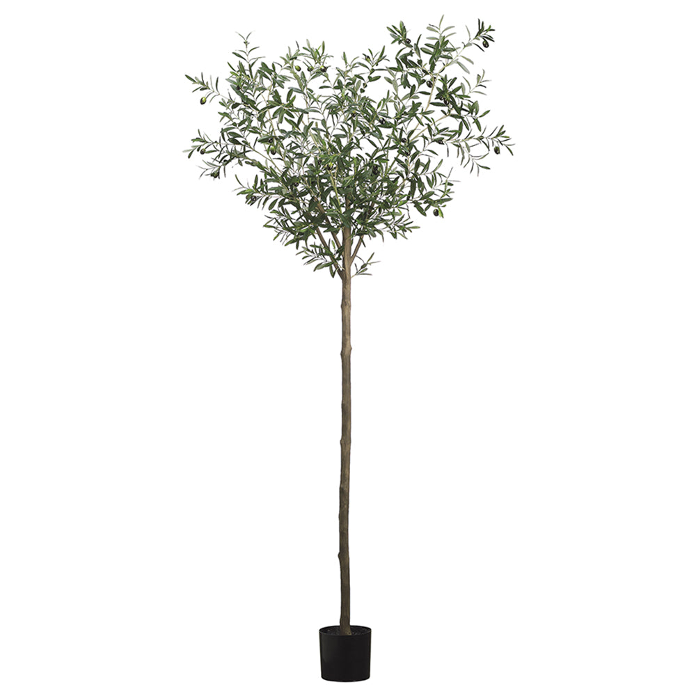 95"Olive Tree with 1500 Leaves in Pot Green #LTO136-GR/TT