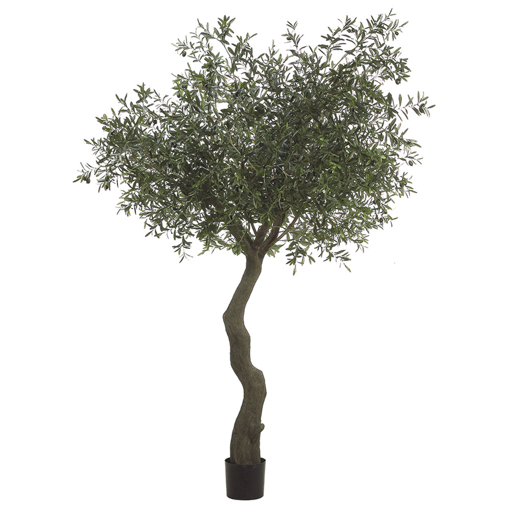 7' x 72"W Olive Tree with 10064 Leaves and 180 Olives in Plastic Pot knock-down Packing #LTO187-GR/BK