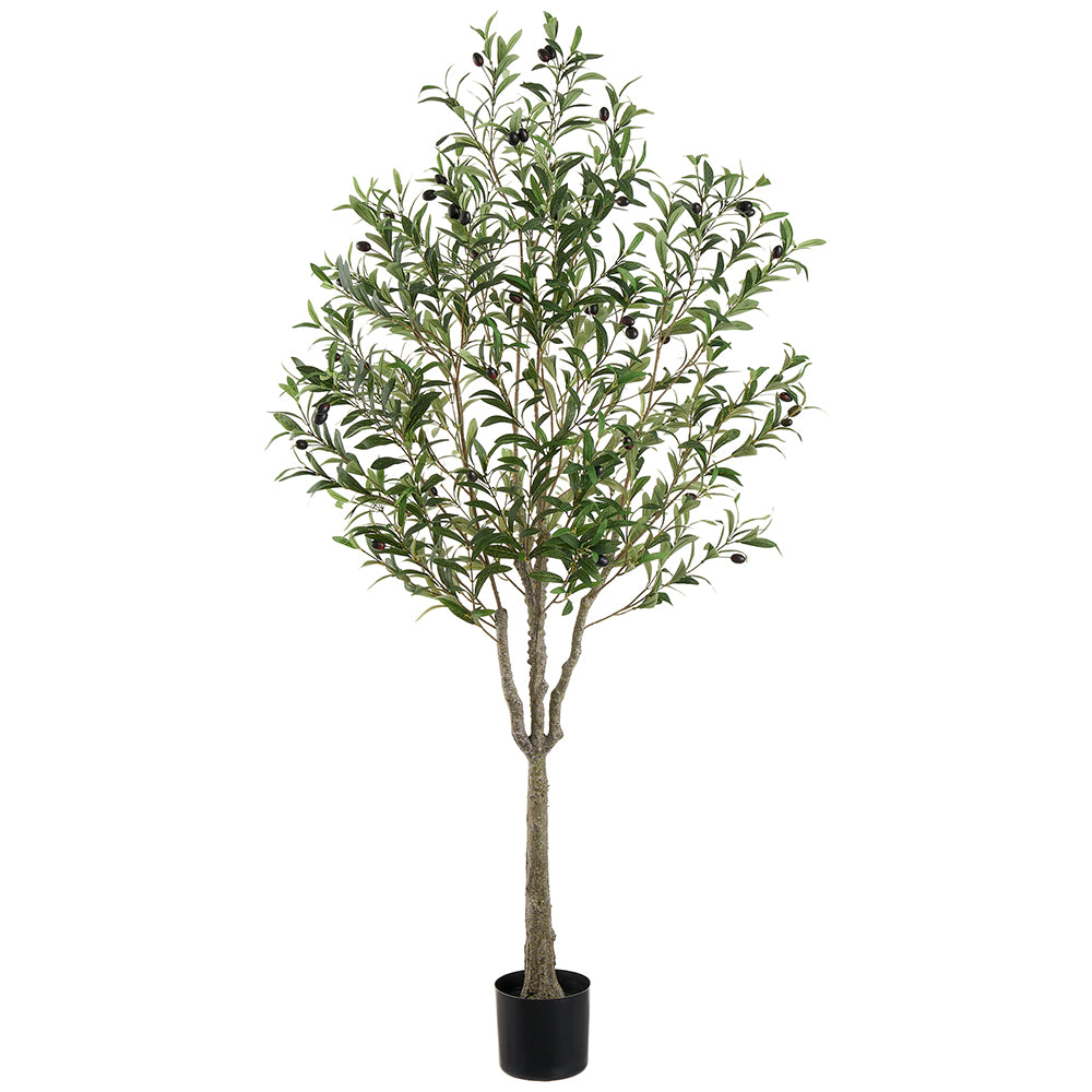 63" Olive Tree in Plastic Pot Green #LTO284-GR