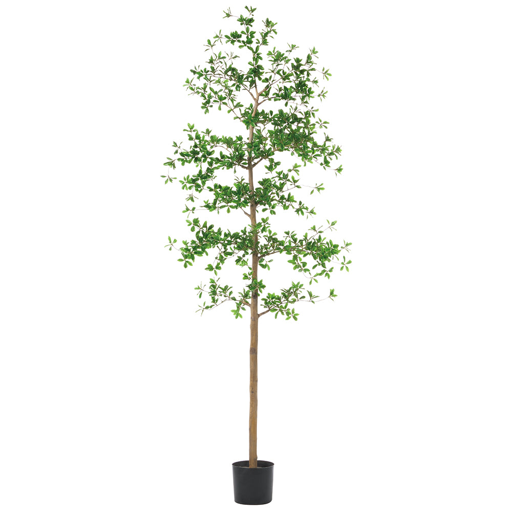 7' Shady Lady Tree with Shapeable Trunk in Pot (knock-Down Packing) Green #LTP932-GR