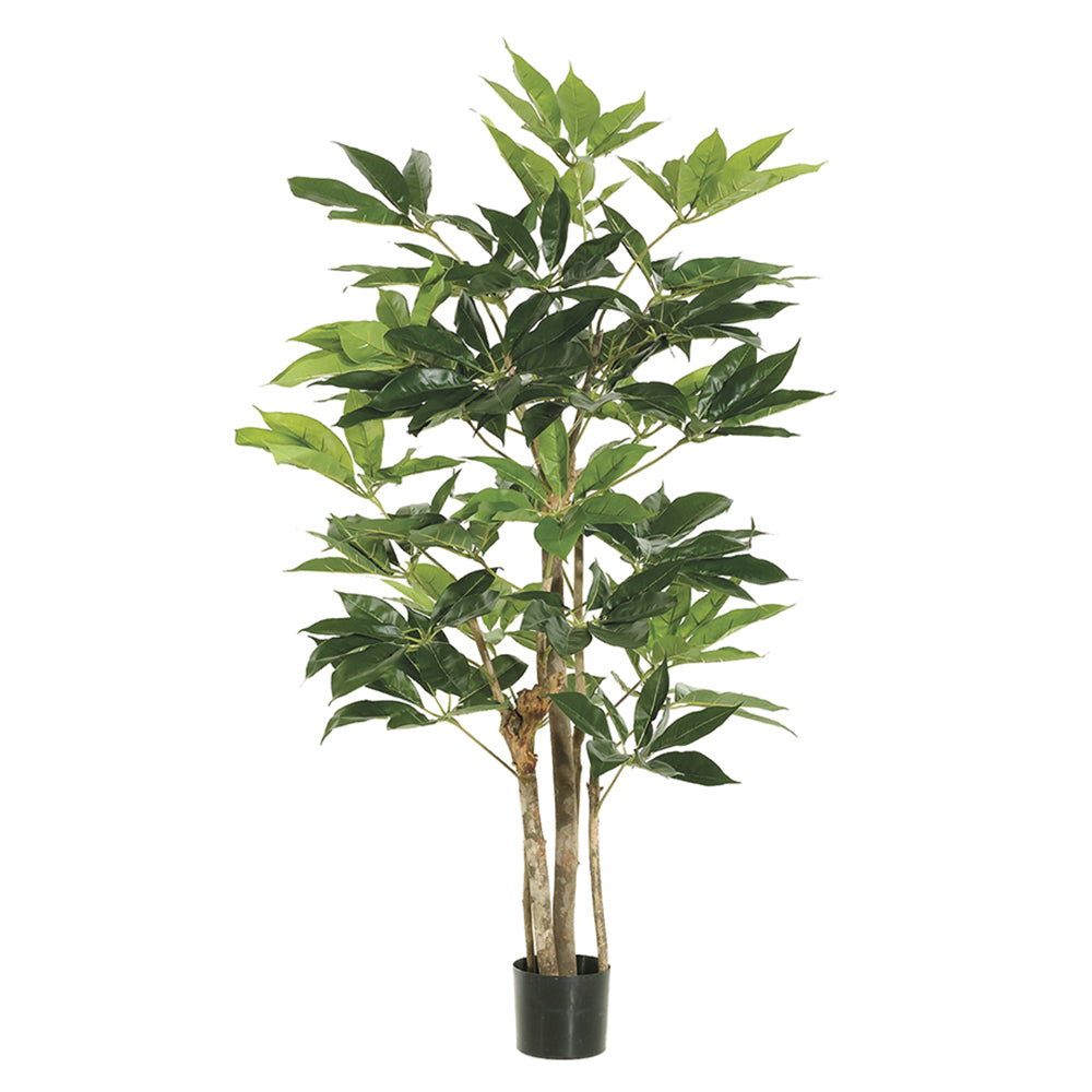 4' Schefflera Tree with 227 Leaves in Pot Green#LTS104-GR