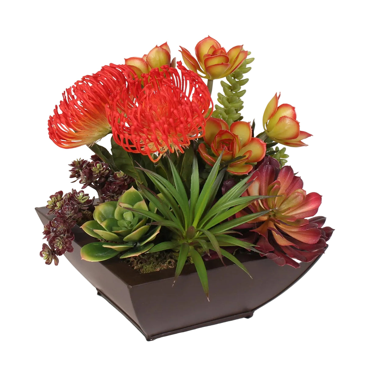 Contemporary Tropical Succulent Arrangement in a Metal Container #OS-11