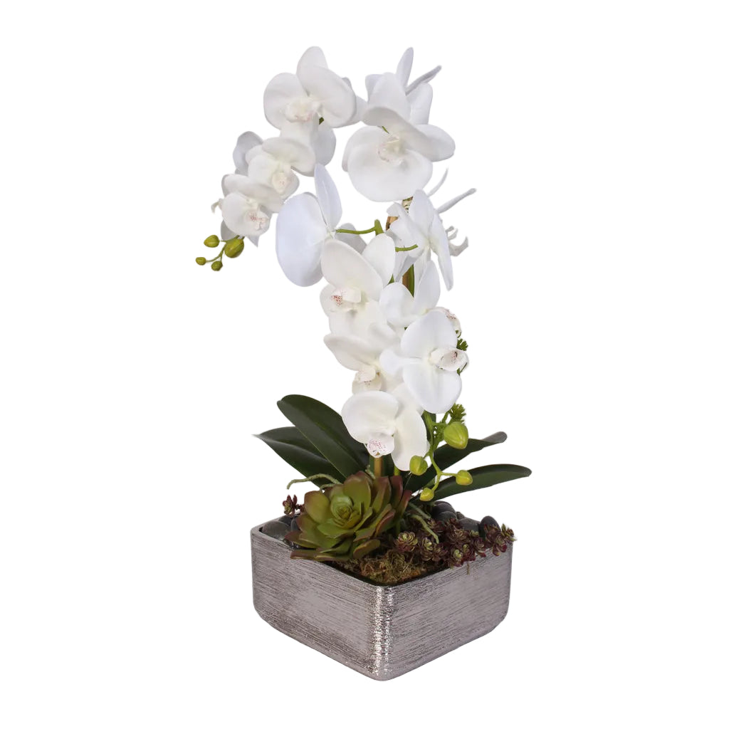Real Touch White Phalaenopsis Orchid with Succulents in a Silver Ceramic Pot #OS-14