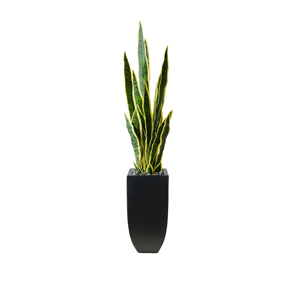 44"H Faux Sansevieria with Rocks In Black Tin Planter #P-20