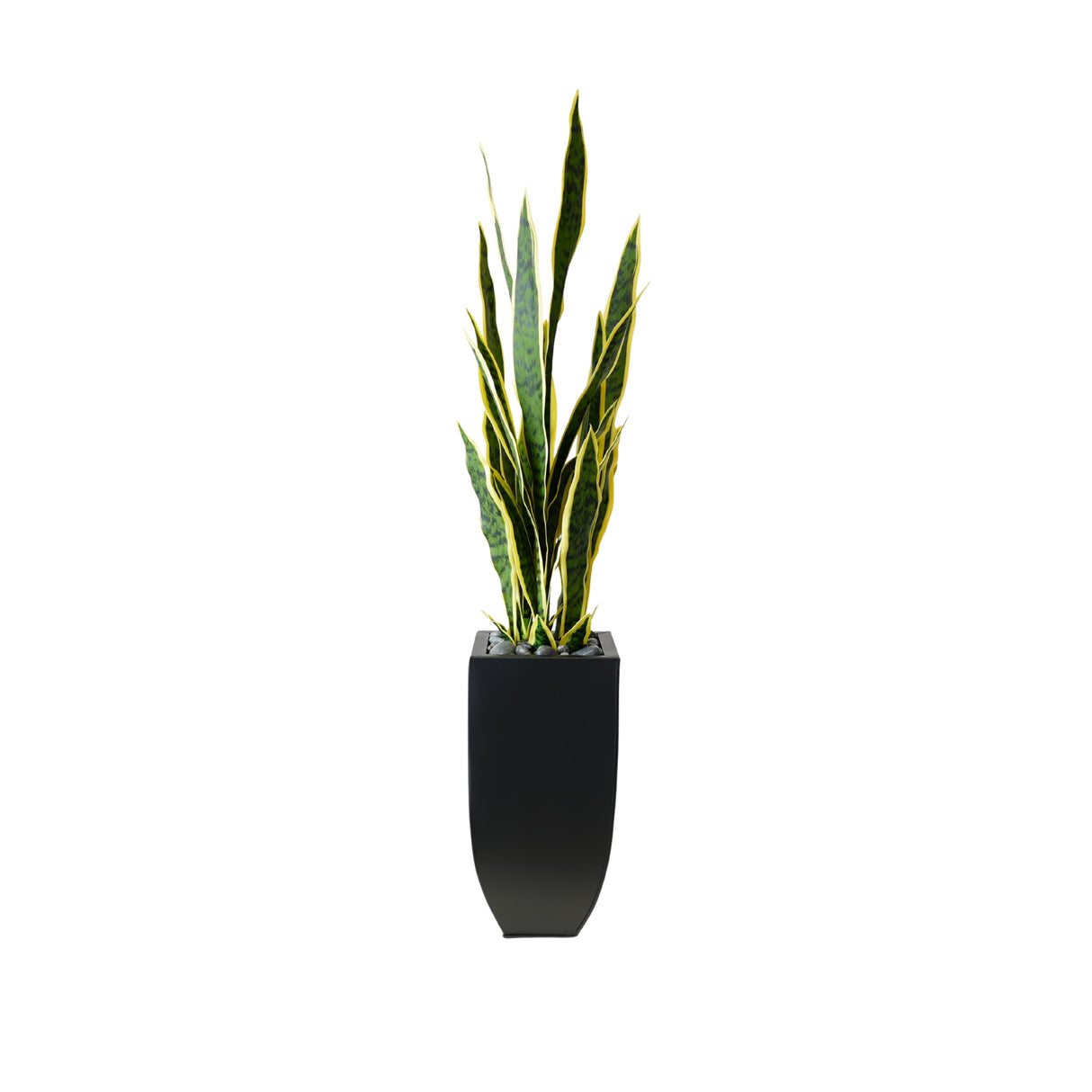 44"H Faux Sansevieria with Rocks In Black Tin Planter #P-20