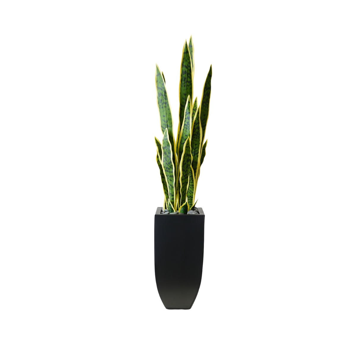 44"H Faux Sansevieria with Rocks In Black Tin Planter #P-20