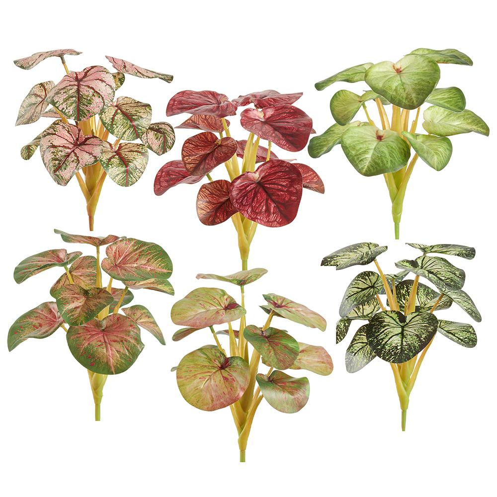 10" Begonia Bush (6 ea/set) Mixed #PBB215-MX