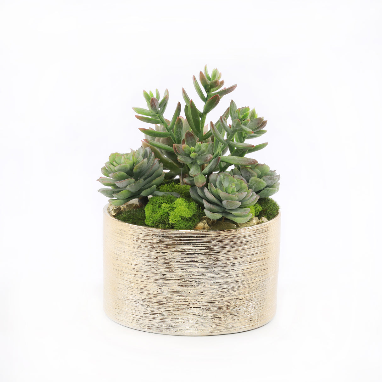 Faux Sedum & Succulent Arrangement in Etched Golden Pot #S-45