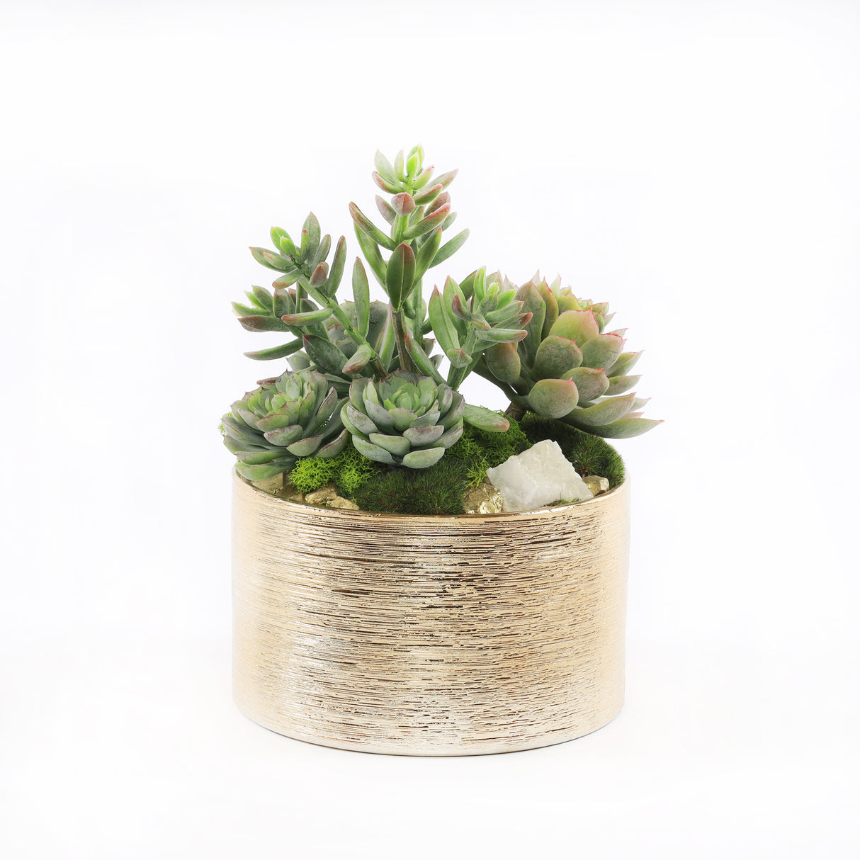 Faux Sedum & Succulent Arrangement in Etched Golden Pot #S-45