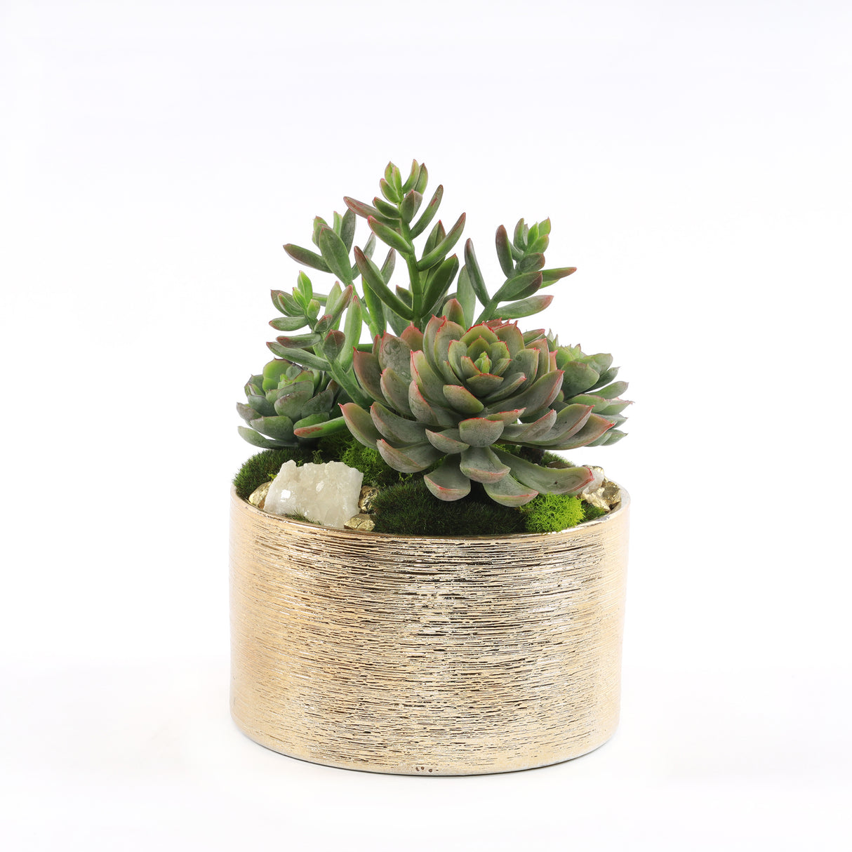 Faux Sedum & Succulent Arrangement in Etched Golden Pot #S-45