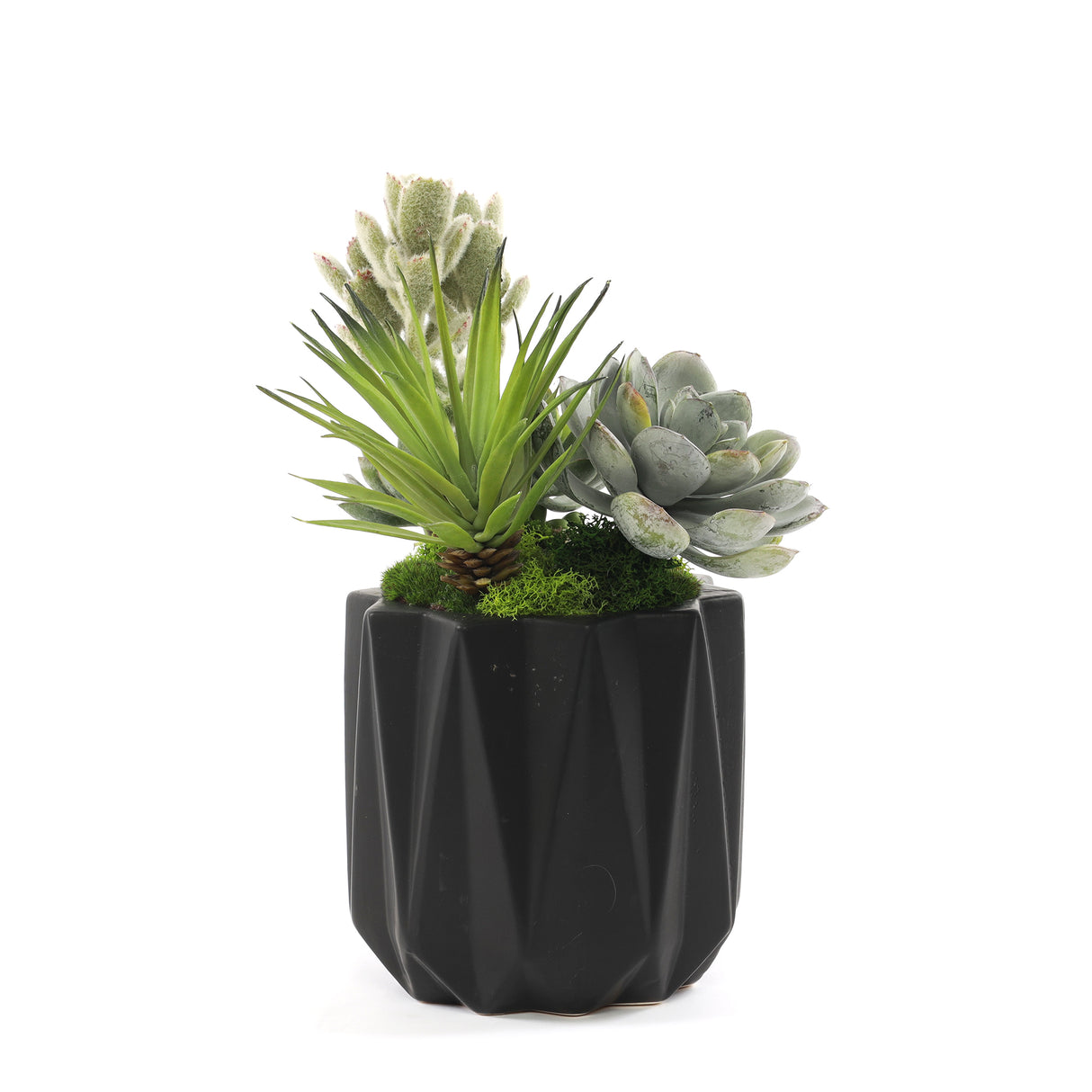 Faux Succulent & Geodes in Black Dimensional Pot #S-51