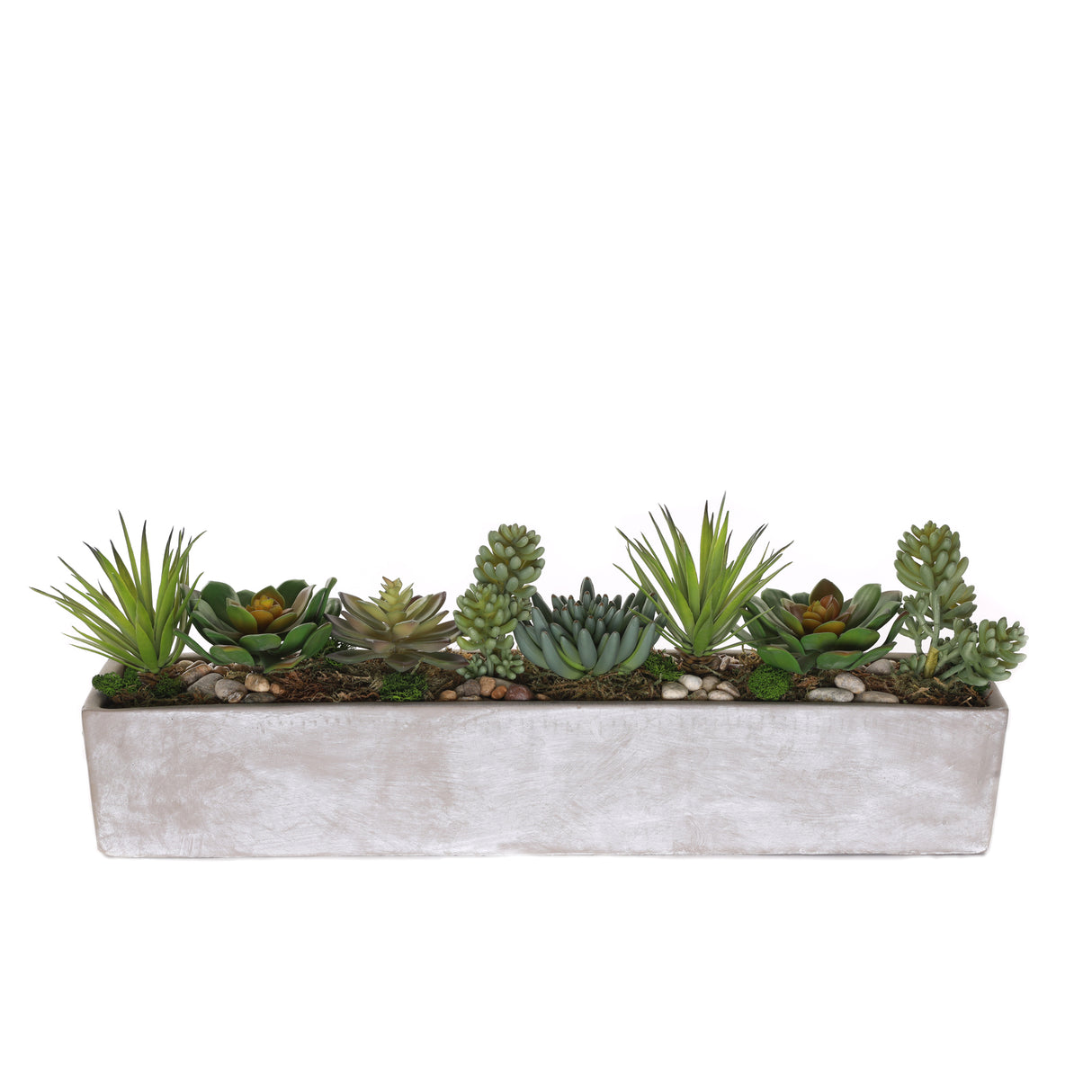 Succulents in rectangular cerement planter#S-53