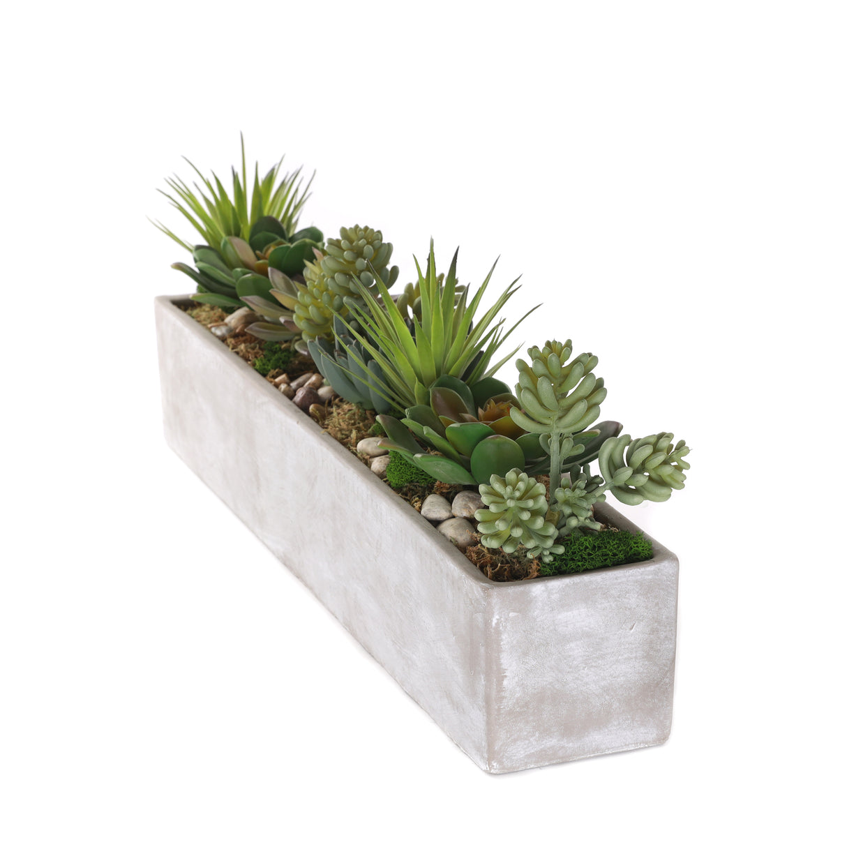 Succulents in rectangular cerement planter#S-53