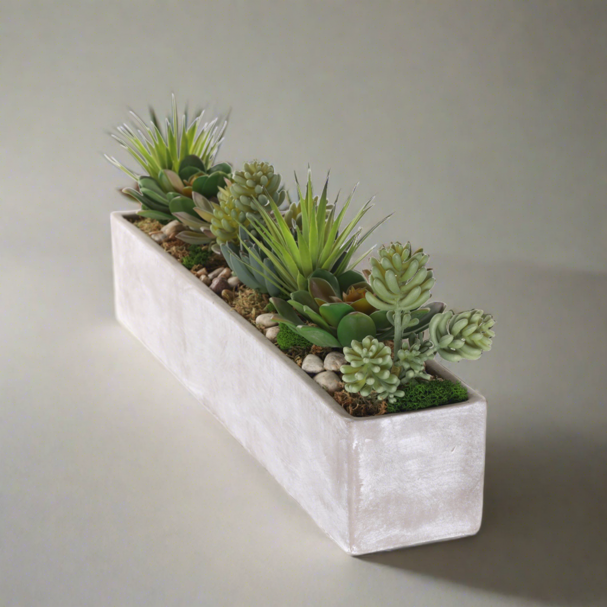 Succulents in rectangular cerement planter#S-53