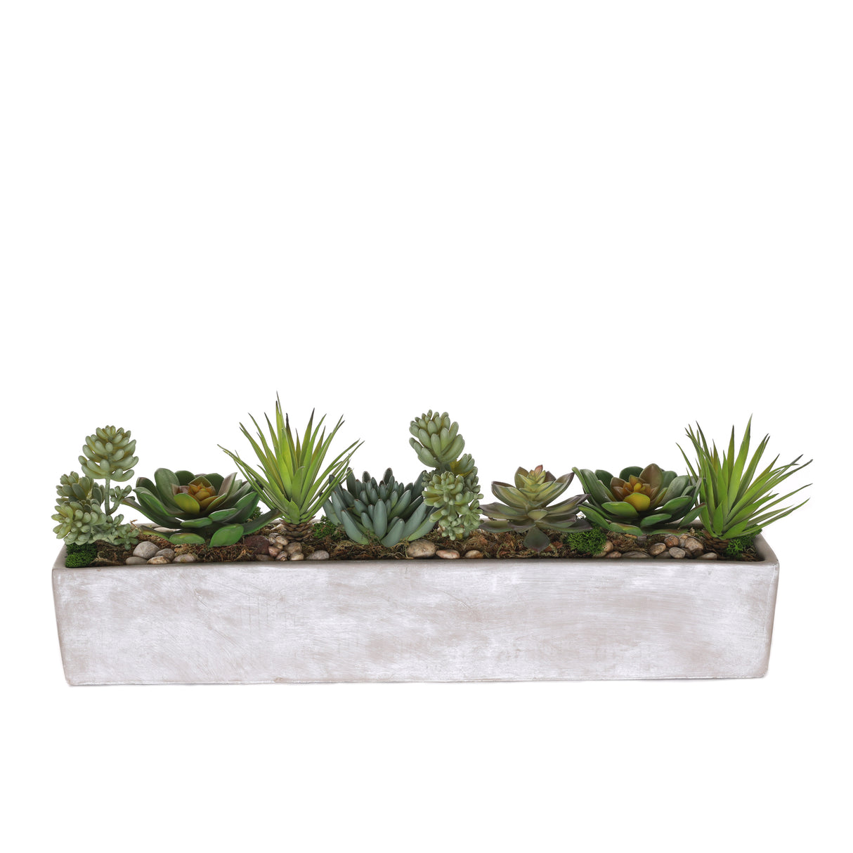 Succulents in rectangular cerement planter#S-53
