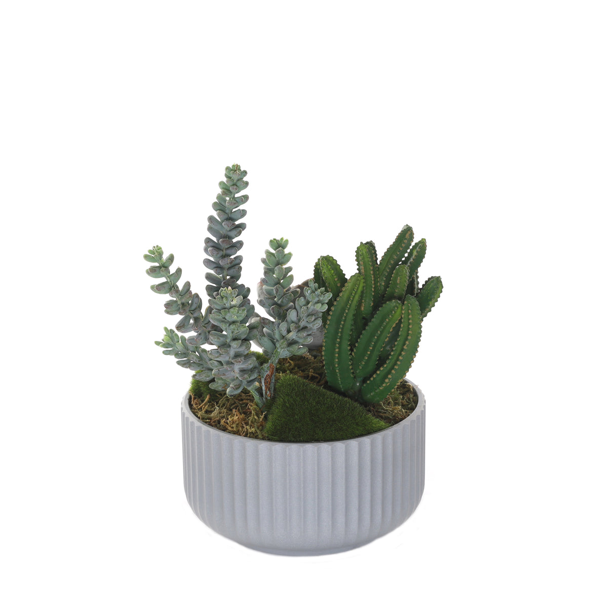 Succulents Arrangement with Moss in Gray Pot #S-57