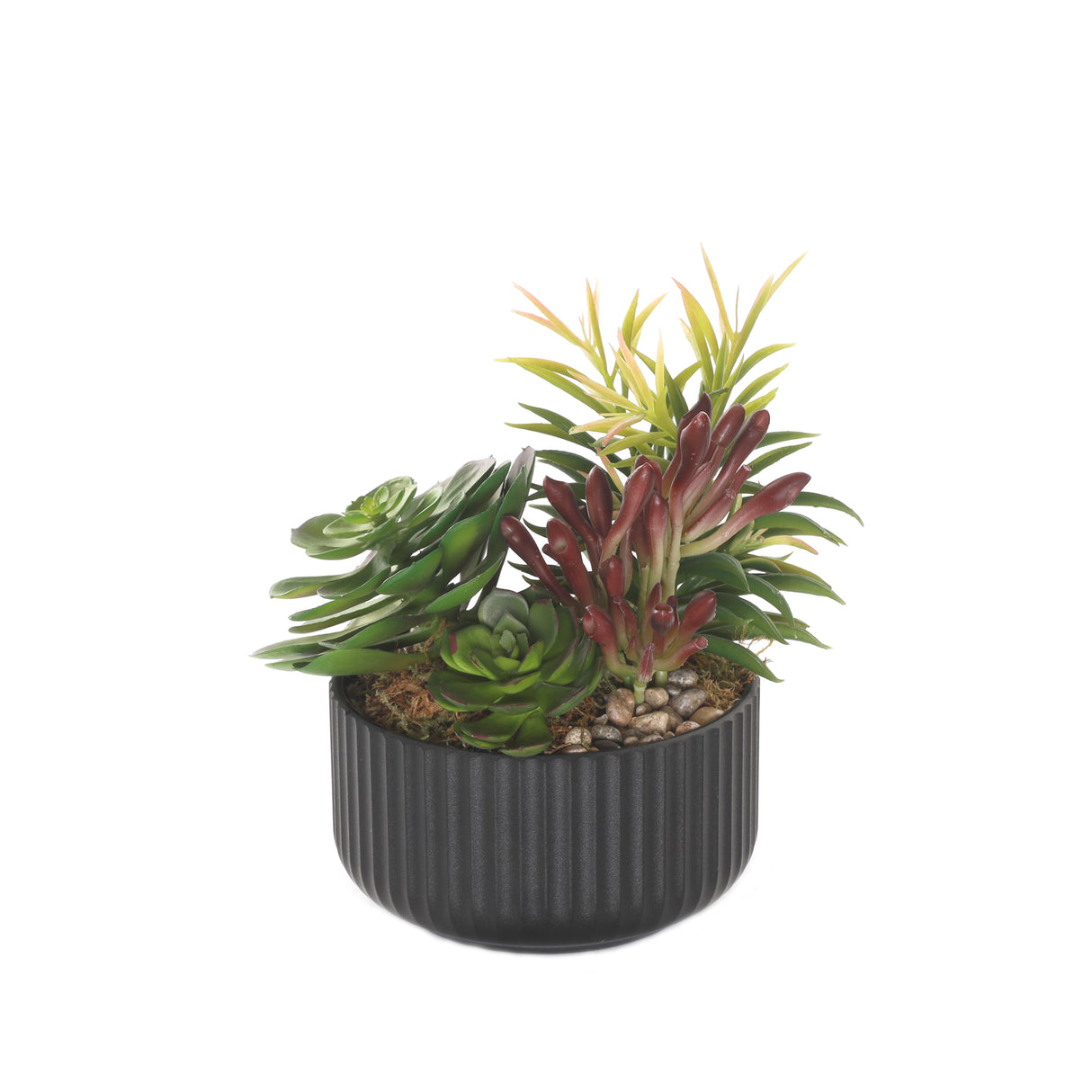 Succulents Arrangement with rocks in Black Pot #S-58