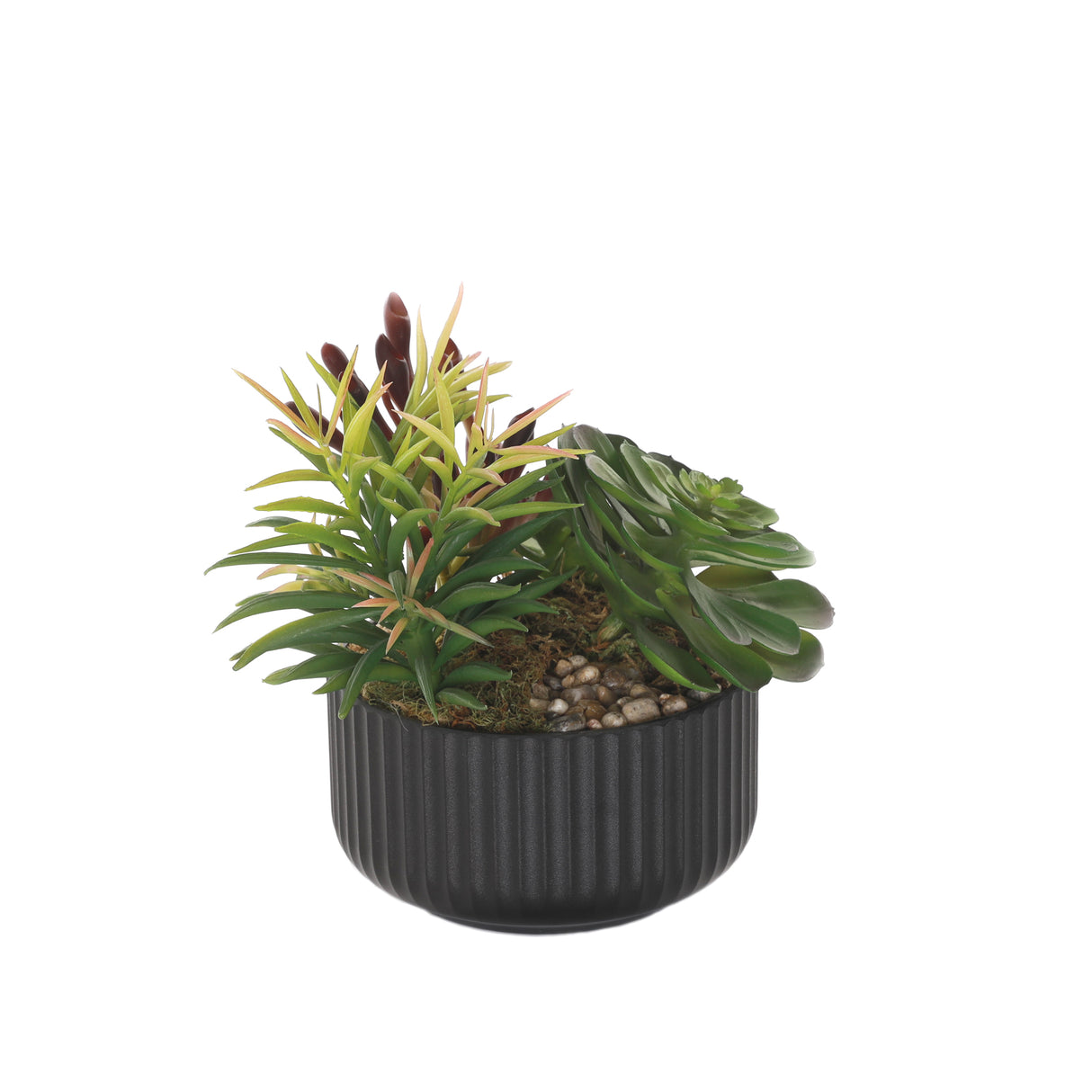 Succulents Arrangement with rocks in Black Pot #S-58