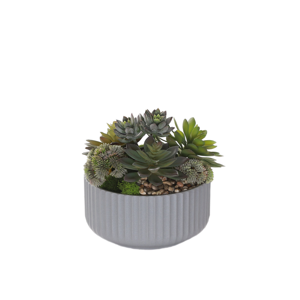 Succulents Arrangement with rocks in Gray Pot #S-61