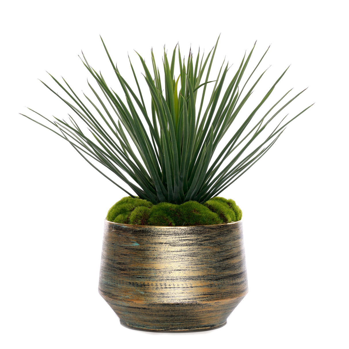 Whipple Yucca/Moss in Green Gold Metal Planter #S-69